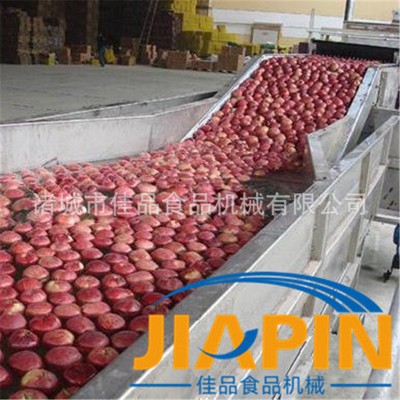 網帶式水產品清洗機流水線 海蠣子清洗機廠家報價 整機不銹鋼制造