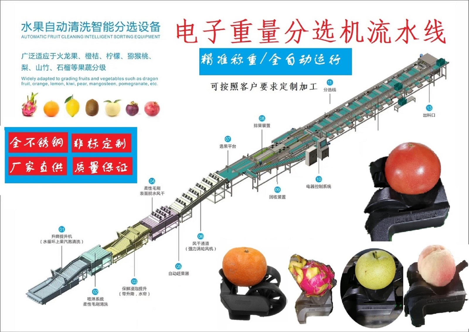 電子智能稱重芒果分選機芒果分級機分揀機克重分選機