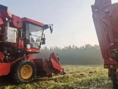 濰坊“三秋”保障、農(nóng)機作業(yè)、烘干點、履帶式收獲機信息一覽