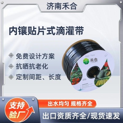 貼片式滴灌帶小麥滴灌管滴水帶大棚蔬菜雙孔抗堵塞內(nèi)鑲貼片滴灌帶